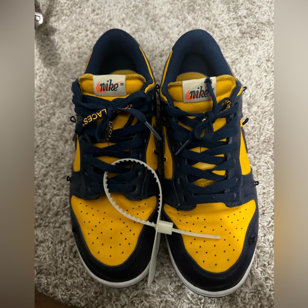 Nike Dunk Low
Michigan (2021)